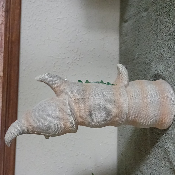 Gnomes - Picture 3 of 5